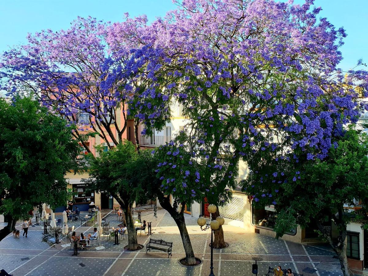 Sherryflat Senovilla Jerez de la Frontera Kültér fotó
